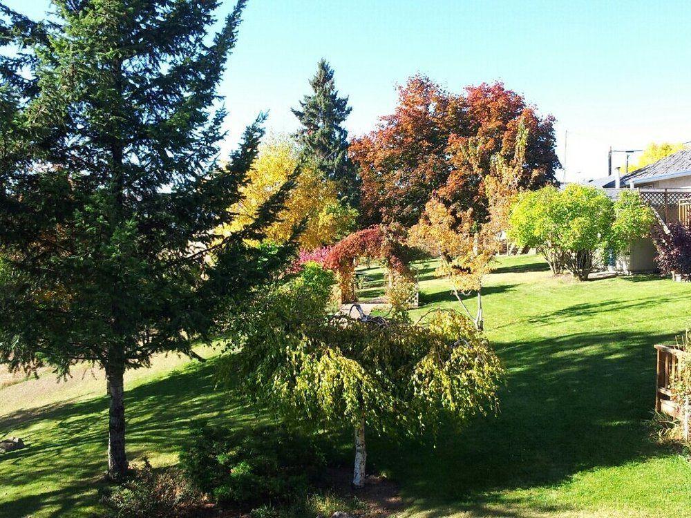Drummond Lodge Уилямс Лейк Екстериор снимка